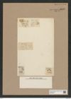 Lysigonium juergensii var. maja Grun. (de-Toni-Nr.: Genus 211, Species 5300) Zeichnungen Sammlung Grunow Nr. 9140 (NHMW-BOT-W0378913)